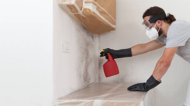 Professional Mold Remediation technician working in Elmira, NY