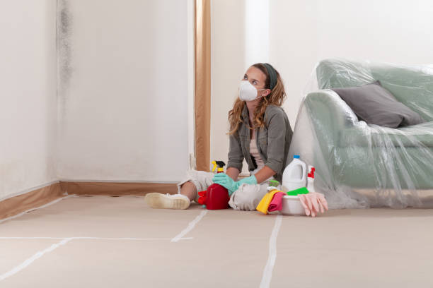 Reliable Mold Remediation contractor in Elmira, NY by WQB Mold Removal